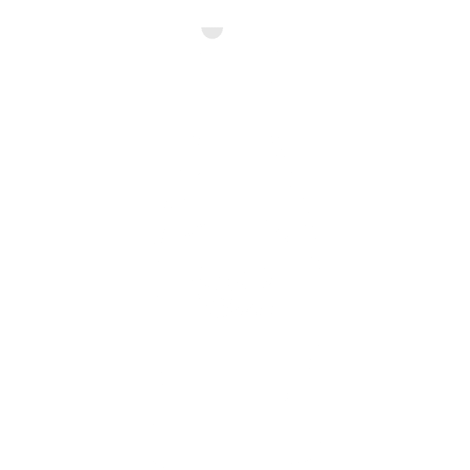 Muovipullo 260 ml PET