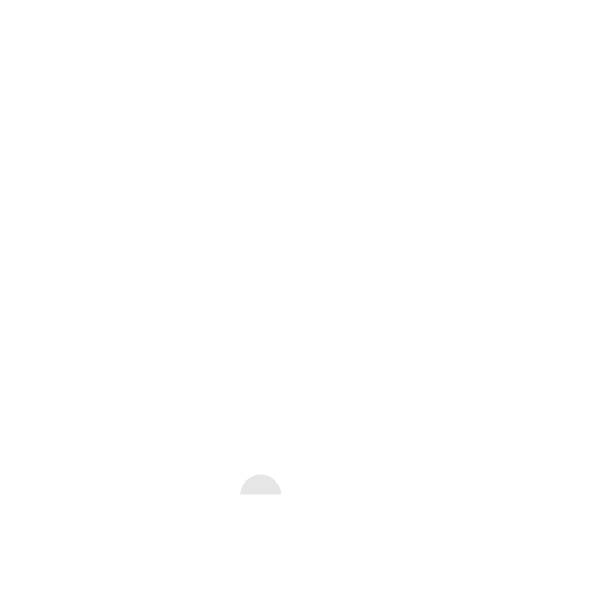 Muovipullo 300 ml PET